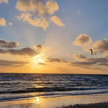 6 Person In Romo * Bolilmark