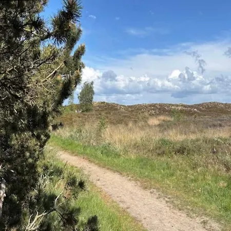 6 Person In Romo * Bolilmark