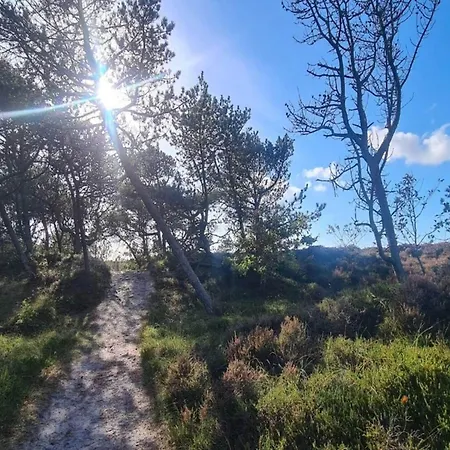 6 Person In Romo Bolilmark