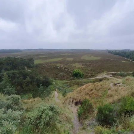 6 Person In Romo Bolilmark